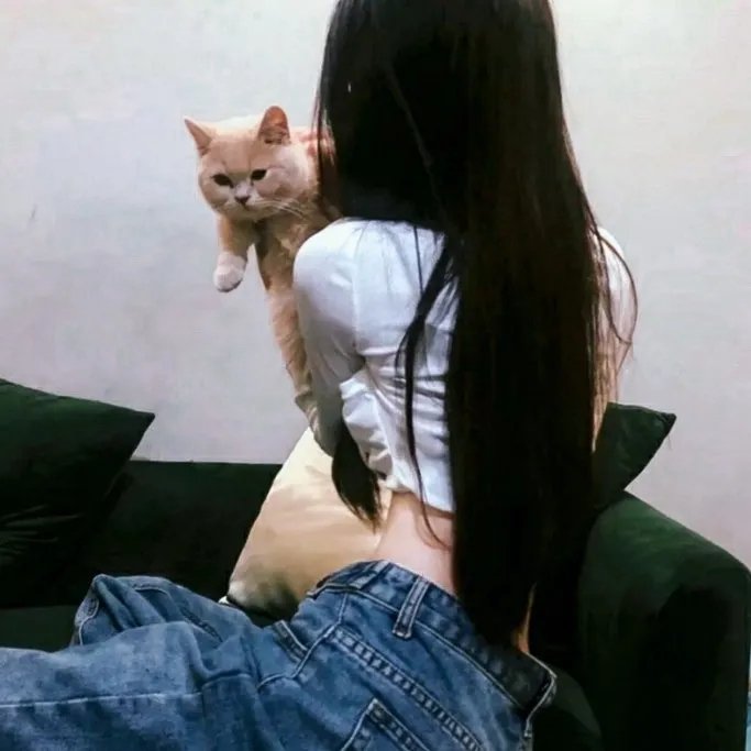 持续发力纵深推进